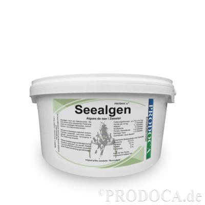 Prodoca Seealgen - Muskeln Pferd